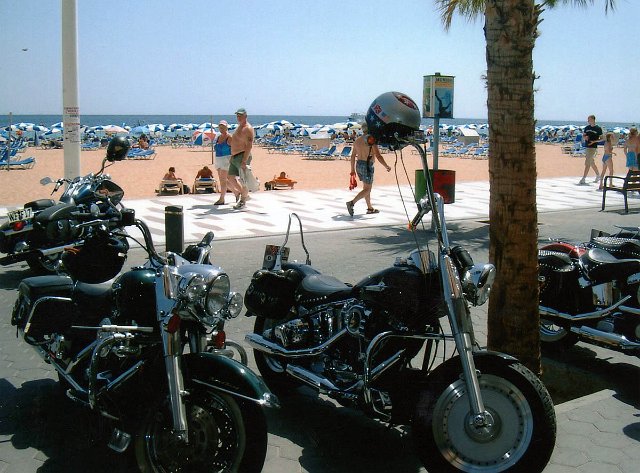 img318.jpg