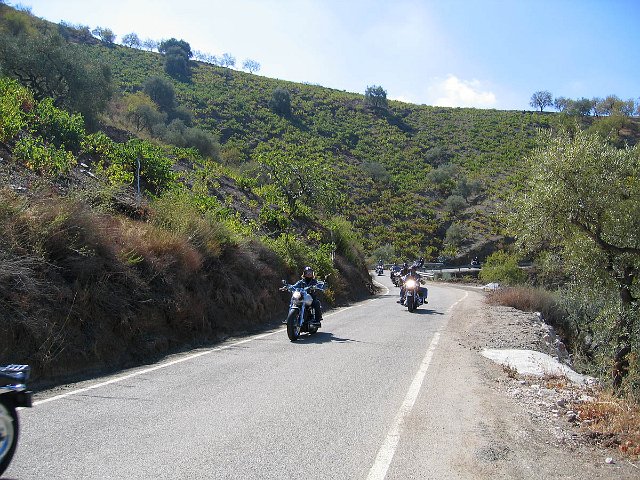 Ta04.jpg